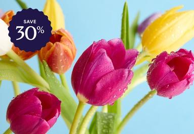 Header navigation sub menu